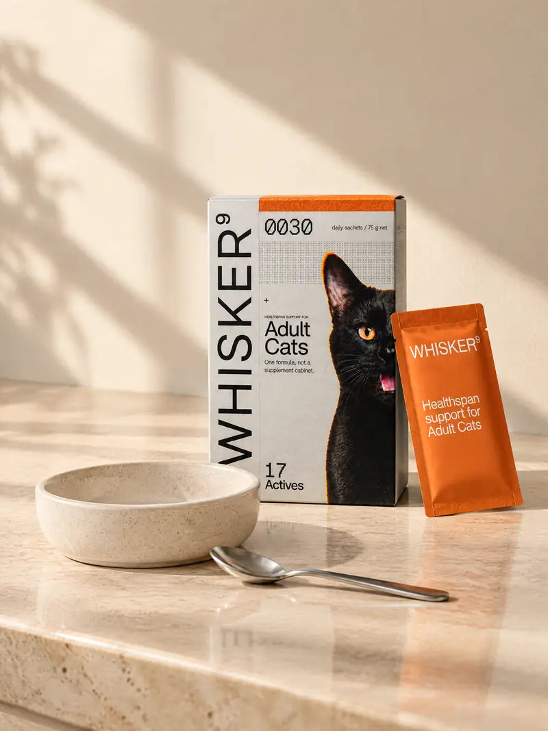 A Whisker9 box and orange sachet beside an empty ceramic cat bowl on a kitchen counter