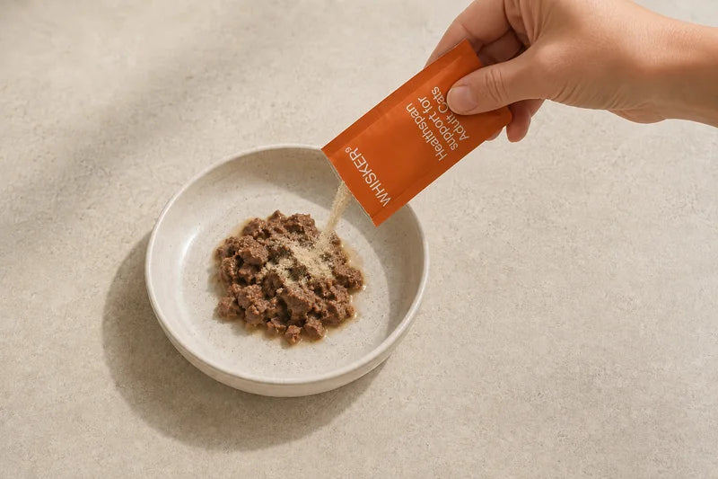 Serving concept: a hand adding powder from an orange Whisker9 sachet to wet cat food